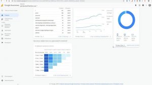 Рабочий аудит по статистике и сайту: Панацея от 25февраля