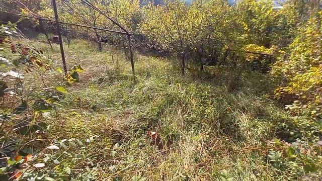 Супер видовой Верхний Юрт участок 6,5 соток 3 млн Сочи
