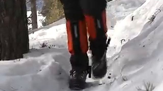 Заповедное Подлеморье .Мониторинг животного мира смотреть онлайн