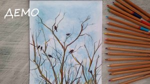 Птицы на ветках. Рисуем цветными карандашами