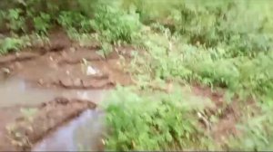 Кариб тащит 🚜,,ТанкухА''18,08,24