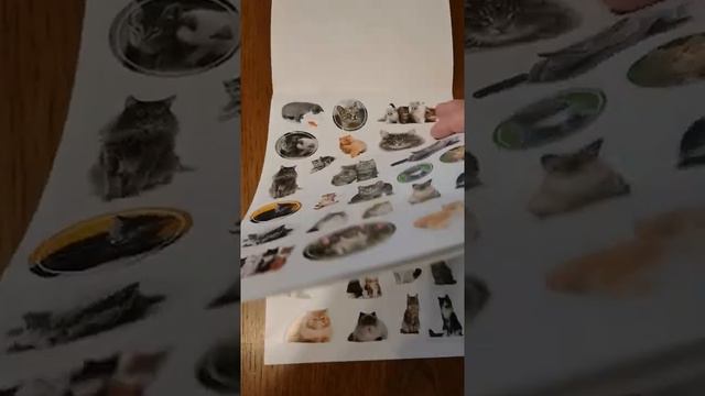 Обзор наклеек для творчества от Prof-Press. "Мир животных" и "Кошки" смотреть онлайн