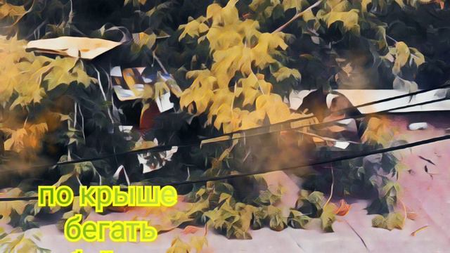 гиф# детство) куда спешишь?) смотреть онлайн