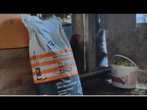 Комбикорм для ЦЫПЛЯТ бройлеров Глазовский !!!