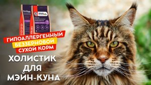 Сухой корм для мэйн-куна. Делаю обзор холистик корма для большой кошки.