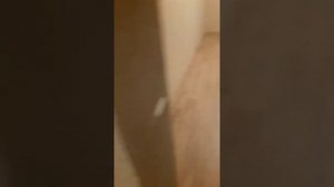 профессиональная укладка ламината без порожков длина 13 м и выше