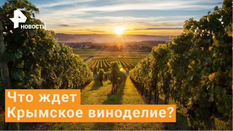 Крым превратят в крупнейший винный регион мира?