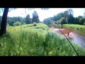 ТАЕЖНАЯ МИКРОРЕЧКА ПОЛНА СЮРПРИЗОВ!!!