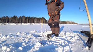 Рыбалка на жерлицы зимой или как поймать налима в декабре.