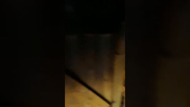 Скрытая камера в бане. смотреть онлайн