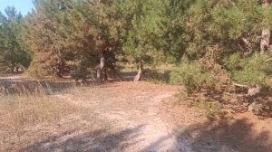 ТИТАНОВЫЙ ЗВЕРЬ! Защищенный планшет Oukitel RT7 TITAN 5G с рекордными 32 000 мАч и 22ГБ RAM