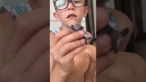Игрушки Король Лев & Хранитель Лев