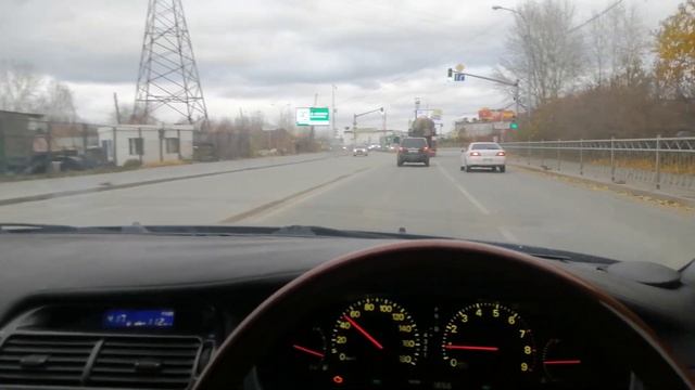 TAMANDI блог #24. 8 лет с Diamante, Екатеринбург смотреть онлайн