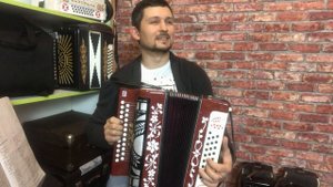 Гармонь Ивушка и Тульская 402 Обзор Демонстрация