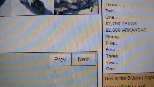 МОТОЦИКЛЫ ИЗ АМЕРИКИ АУКЦИОН смотреть онлайн