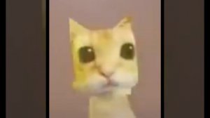 опа гангам стайл ай базысты бильбигилм (musik track)