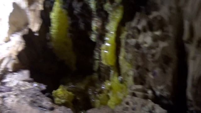 КАК МЫ ЗА ДИКИМ МЁДОМ ХОДИЛИ... НЕ ПОВТОРЯТЬ !!! смотреть онлайн