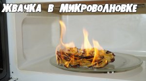 ЖВАЧКА в МИКРОВОЛНОВКЕ! Нереально! │Эксперименты