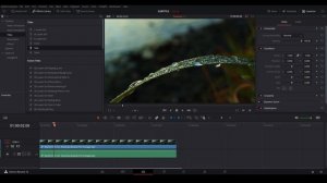 DUA CARA MENAMBAHKAN SUBTITLE PADA DAVINCI RESOLVE 16 | TUTORIAL INDONESIA