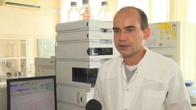 Оценка качества зерна нового урожая