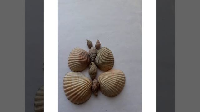 Поделки из ракушек смотреть онлайн