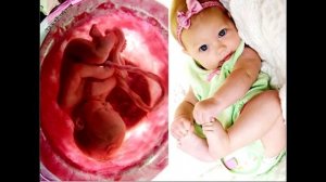 Самые Важные Знания. Тема № 7 «Покаяние».mp4