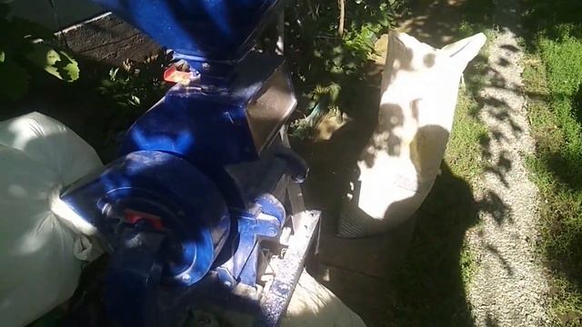 Хороший "СТАРТ"- залог хорошего роста поросят! Как в домашних условиях приготовить комбикорм "СТАРТ