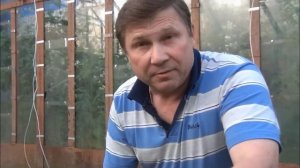 ОГУРЦЫ. Подвязка, формирование огуречной плети