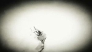 RDR1 ragdoll/physics in RDR2 (BDERO)