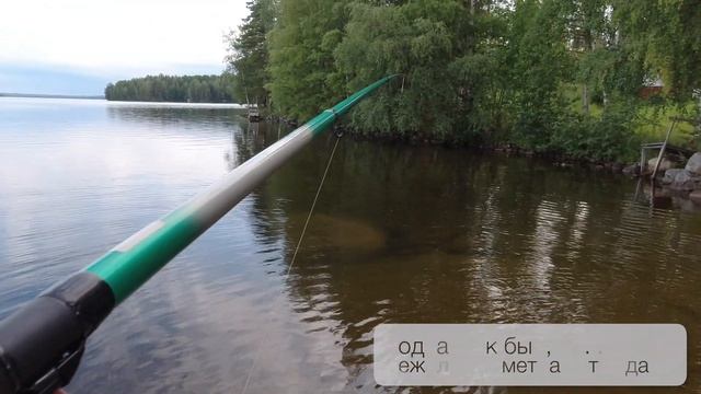 Неделя в Финляндии | часть #1 | Озеро Пюхяярви | переезд SPb-Suomi, грибы, рыбалка, закаты | 4K смотреть онлайн