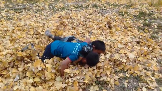 самбо(2) смотреть онлайн