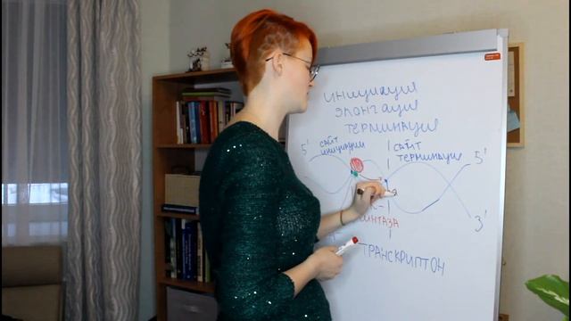 Матричные синтезы: транскрипция (часть 3) смотреть онлайн