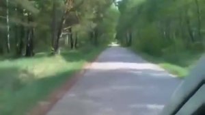 Литва, Гайжюнай дорога на стрельбище в.ч 73461 "Полигон" ебун-гора 242 учебный центр ВДВ