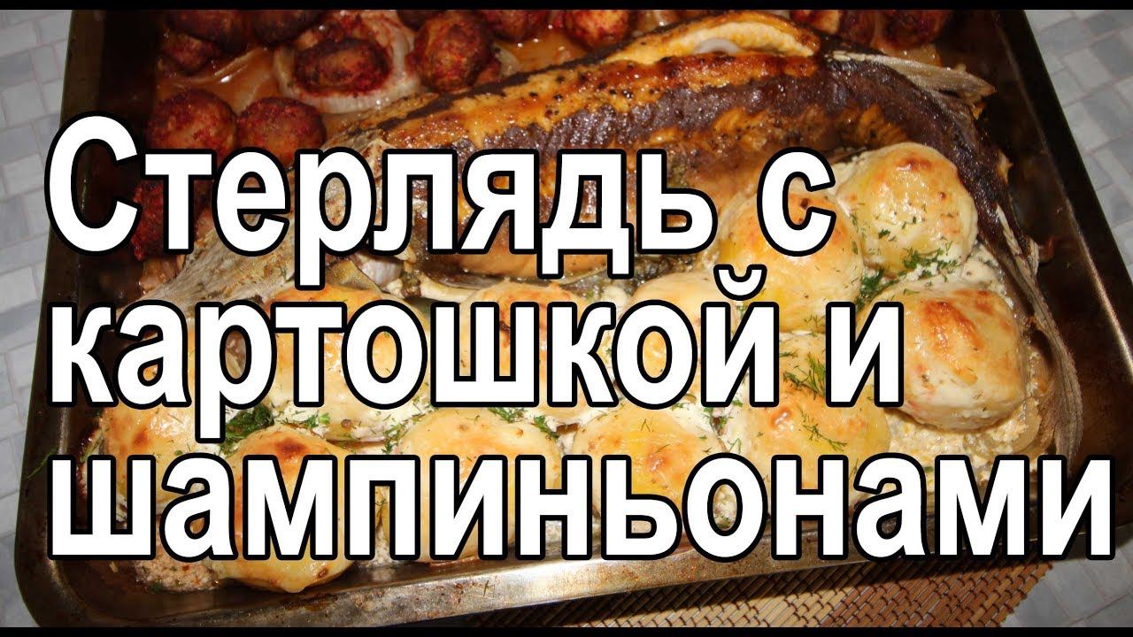 Запеченная стерлядь в духовке с картошкой целиком – рецепт как запечь стерлядь с грибами и картошкой