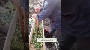 Крошево. Заготовка щей на зиму.