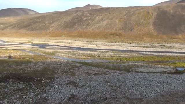 Тундра без прикрас. Марина Галкина . Отрывок из путешествия.