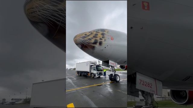 Красавец Boeing-777 Уссурийск а/к Россия в аэропорту Сокол г. Магадан ✈️