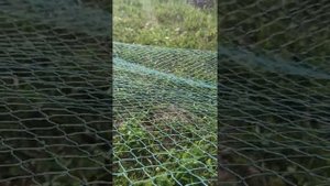 Посадка бредня 5 часть
