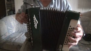 Гармонь Чайка басы 2