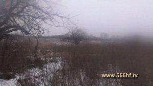 Охота на лис с норными собаками. Часть 1. С Олегом Терентьевым.