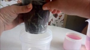 Марганцовка для орхидей, горшки Арте, ну и полив в торфогрунте///