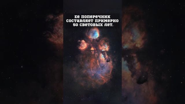 Туманность Кошачья лапка #space #астрономия #космос #наука #познавательный #интересно