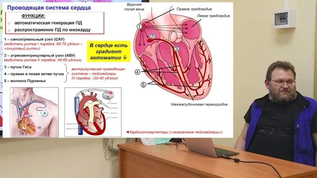 Физиология (семинар), Гайдуков А. Е., 17.02.2022г. смотреть онлайн