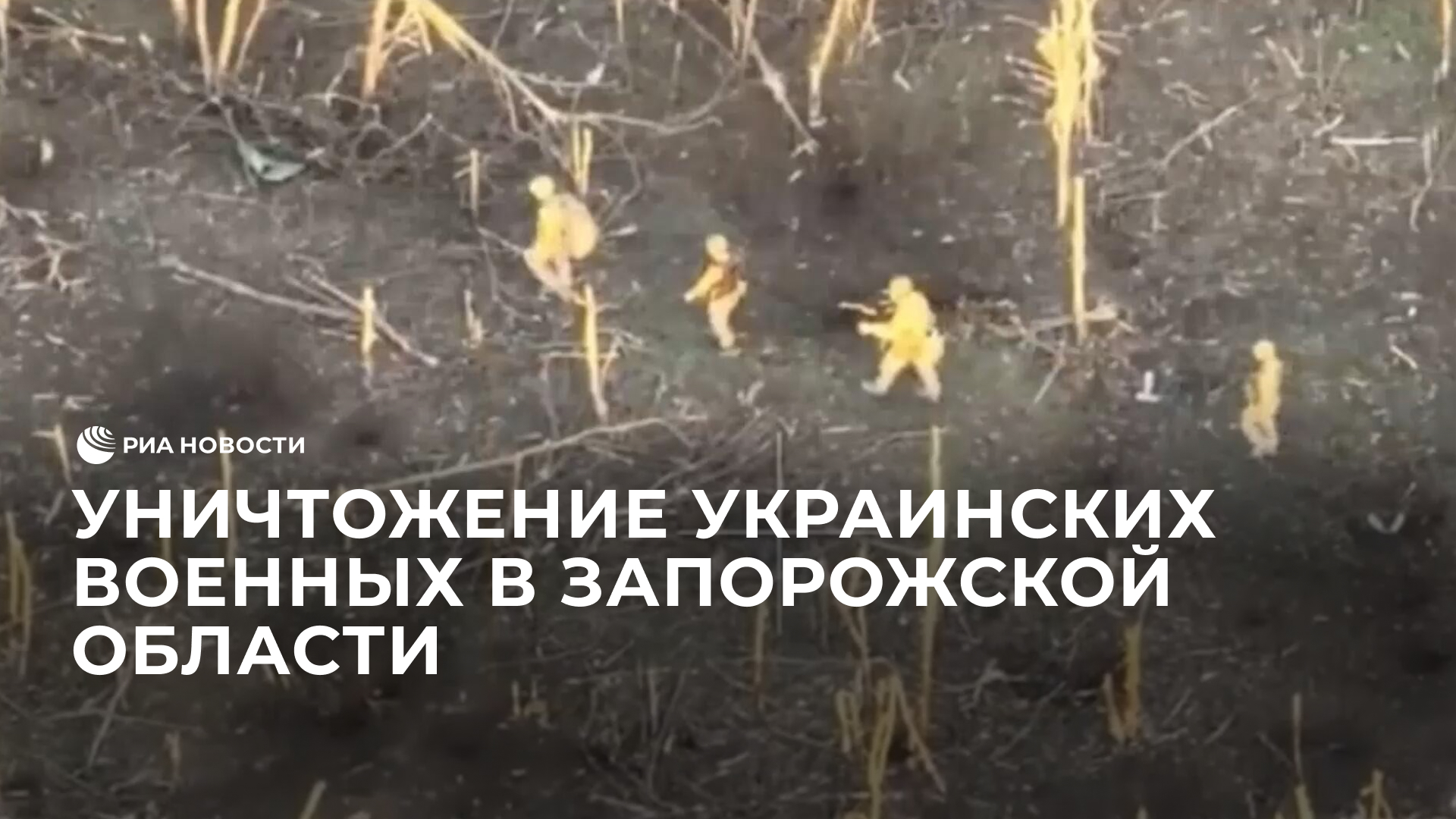 Уничтожение украинских военных в Запорожской области