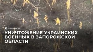 Уничтожение украинских военных в Запорожской области