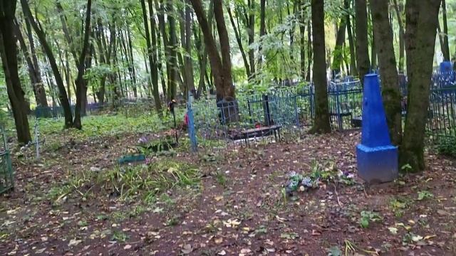 Брянск, Фокинский район, старое кладбище