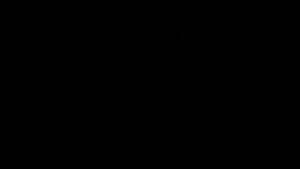 Электрический лифт V=1 м-с, грузоподъемность 320 кг (395)