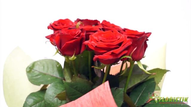 9 красных роз смотреть онлайн