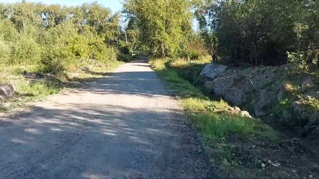 Дорога в школу. смотреть онлайн