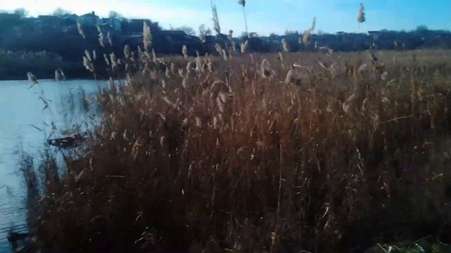 Кривая Балка (27) смотреть онлайн